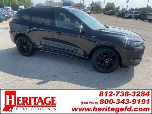 Used 2025 Ford Escape ST-Line Elite AWD/4WD image 1