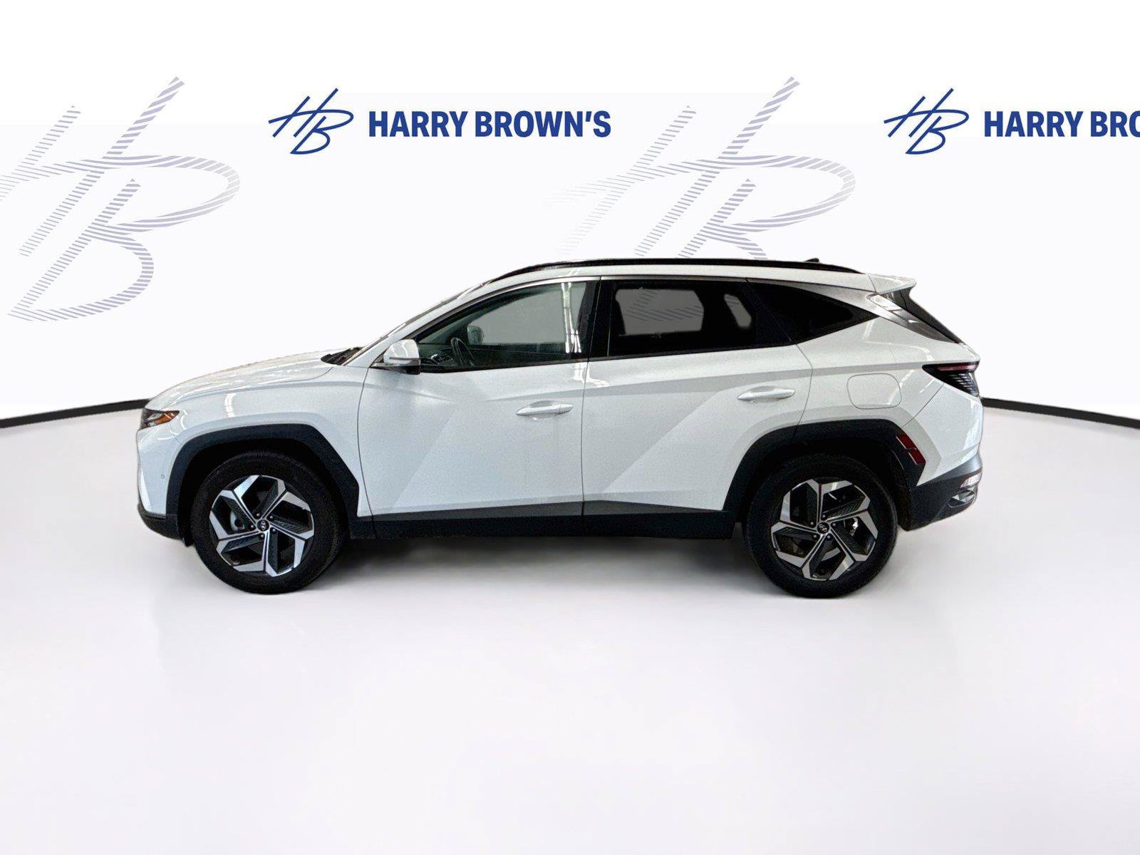 Used 2024 Hyundai Tucson Limited AWD/4WD image 8