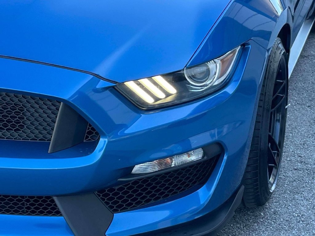 Used 2019 Ford Mustang Shelby GT350 w/ Technology Package RWD image 9