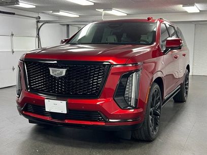 Used 2026 Cadillac Escalade Platinum Sport w/ LPO, ONYX Package