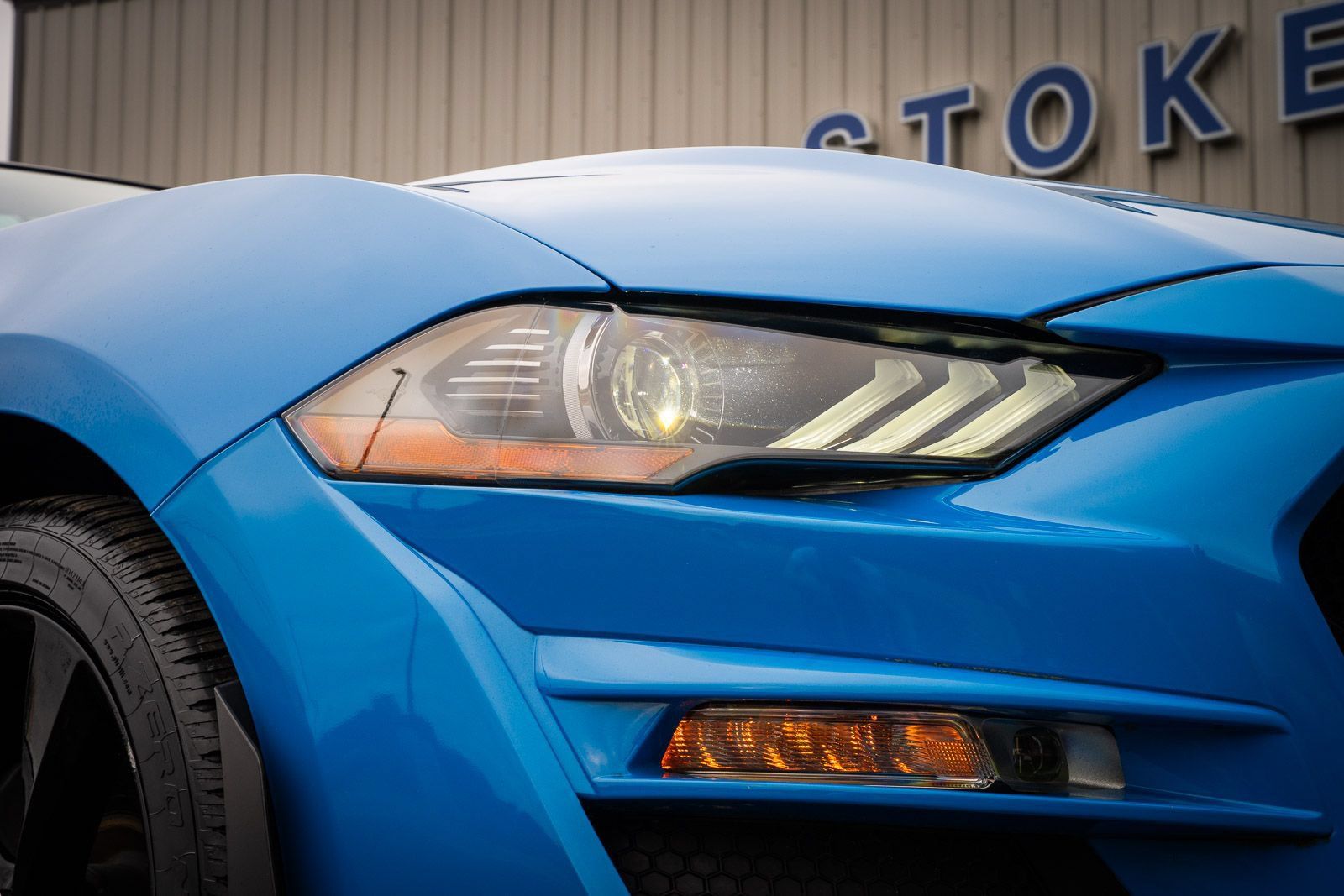 Used 2023 Ford Mustang GT Premium w/ Mustang Nite Pony Package RWD image 13