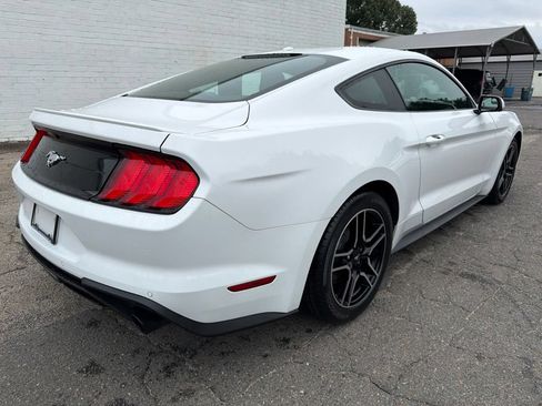 Used 2019 Ford Mustang EcoBoost Premium Coupe 2D w/ Equipment Group 101A RWD image 2