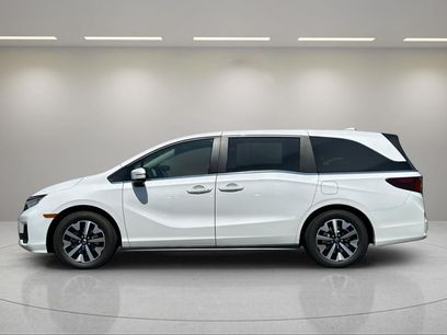 New 2026 Honda Odyssey EX-L