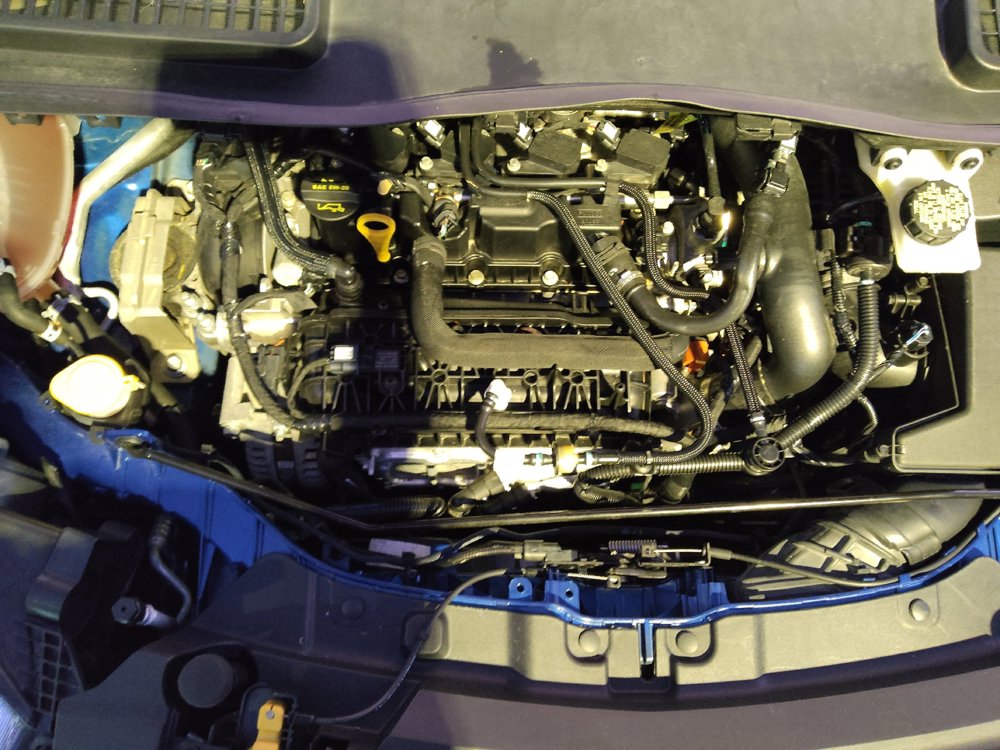 Used 2019 Ford Escape SE FWD image 30