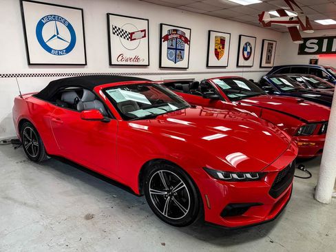 Used 2024 Ford Mustang Premium image 4