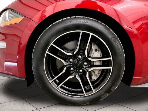 Used 2019 Ford Mustang GT RWD image 8
