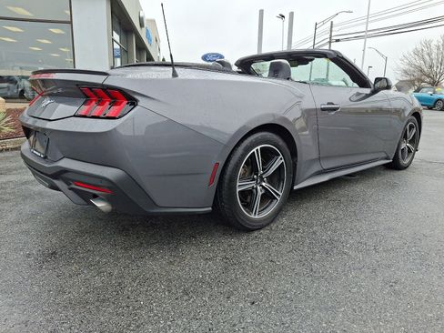 Certified 2024 Ford Mustang Premium image 6