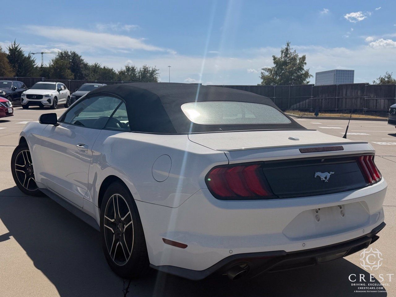 Used 2020 Ford Mustang Premium RWD image 5