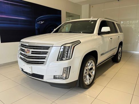 Used 2019 Cadillac Escalade Platinum AWD/4WD image 1