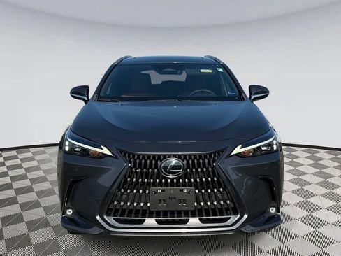 Used 2024 Lexus NX 350h AWD w/ Cold Area Package image 6