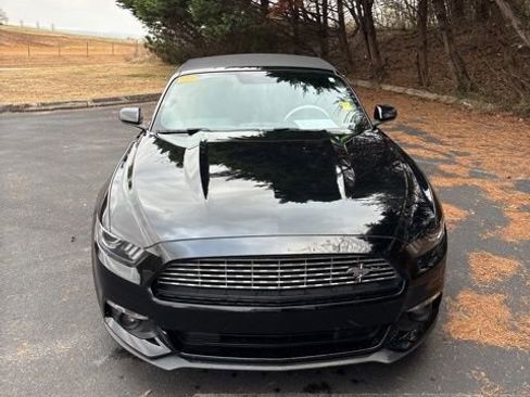 Used 2017 Ford Mustang Premium w/ Equipment Group 201A image 2