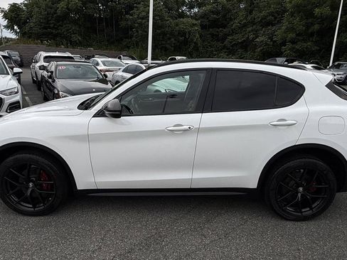Used 2019 Alfa Romeo Stelvio Sport w/ Quick Order Package 22J Sport AWD/4WD image 12