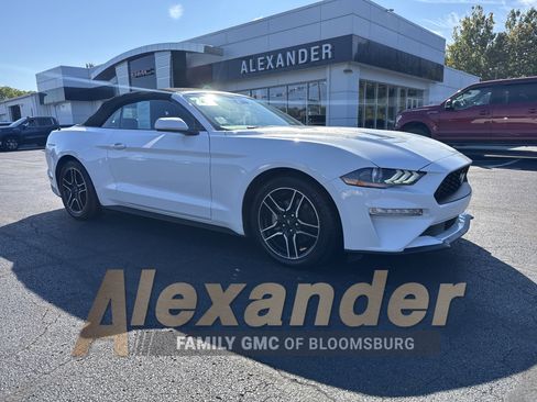 Used 2023 Ford Mustang Premium image 1