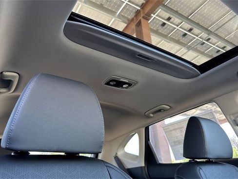 New 2026 Kia Seltos SX w/ SX Sunroof Package image 20