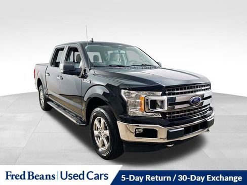 Certified 2019 Ford F150 XLT w/ Equipment Group 302A Luxury image 1