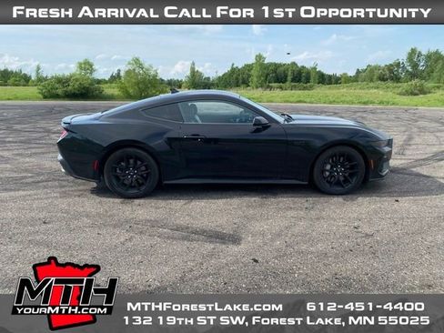 Used 2024 Ford Mustang GT Premium w/ Mustang Nite Pony Package RWD image 1