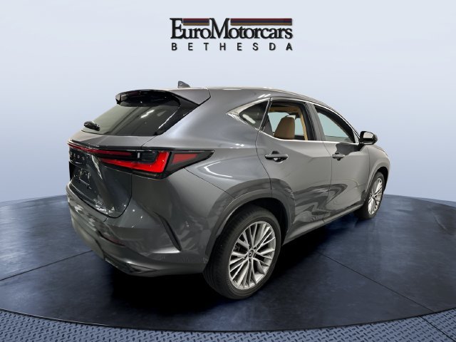 Used 2025 Lexus NX 350 AWD w/ Rear Seat Package image 5