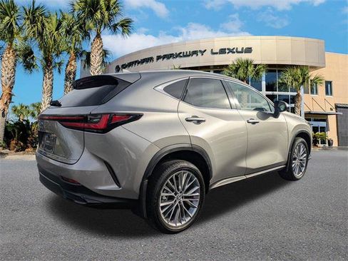 Certified 2022 Lexus NX 350h AWD image 4