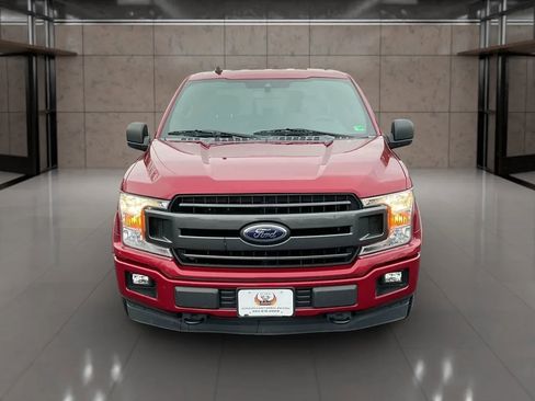 Used 2019 Ford F150 XLT w/ Equipment Group 302A Luxury image 8