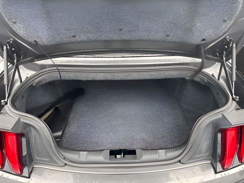 Used 2019 Ford Mustang Convertible image 15