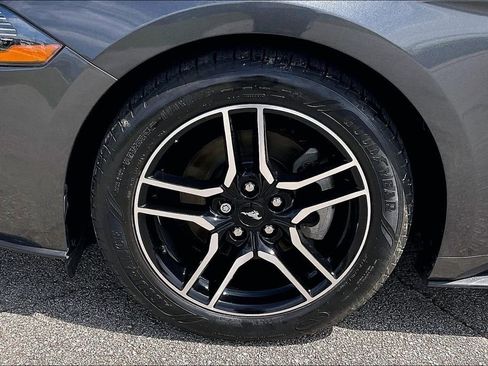 Used 2019 Ford Mustang Coupe w/ Equipment Group 101A RWD image 8
