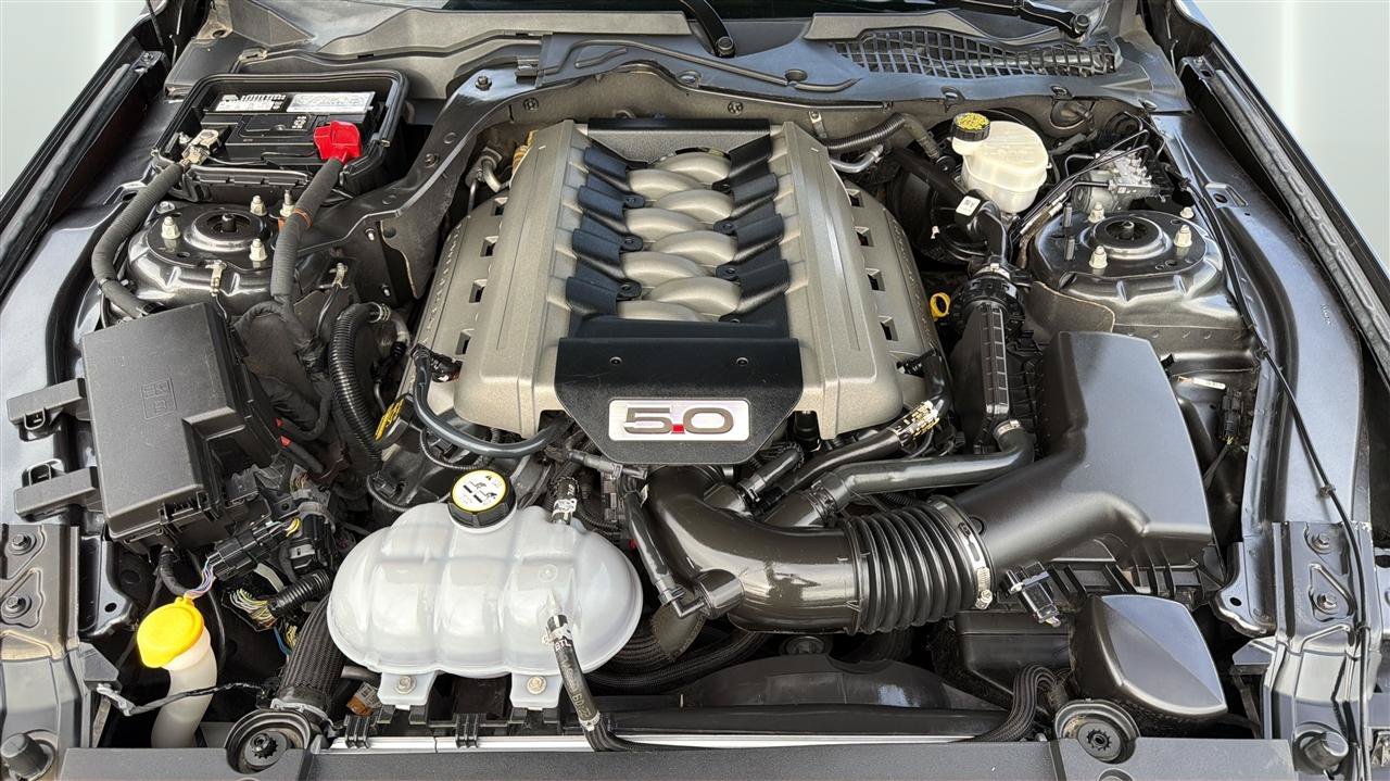 Used 2015 Ford Mustang GT Premium w/ Equipment Group 401A RWD image 33