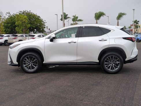 Certified 2024 Lexus NX 250 FWD image 8