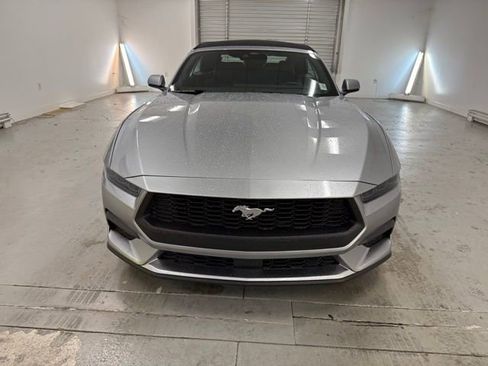 New 2026 Ford Mustang Premium image 2