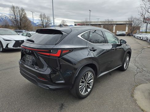 Used 2023 Lexus NX 350h 350h Premium image 5