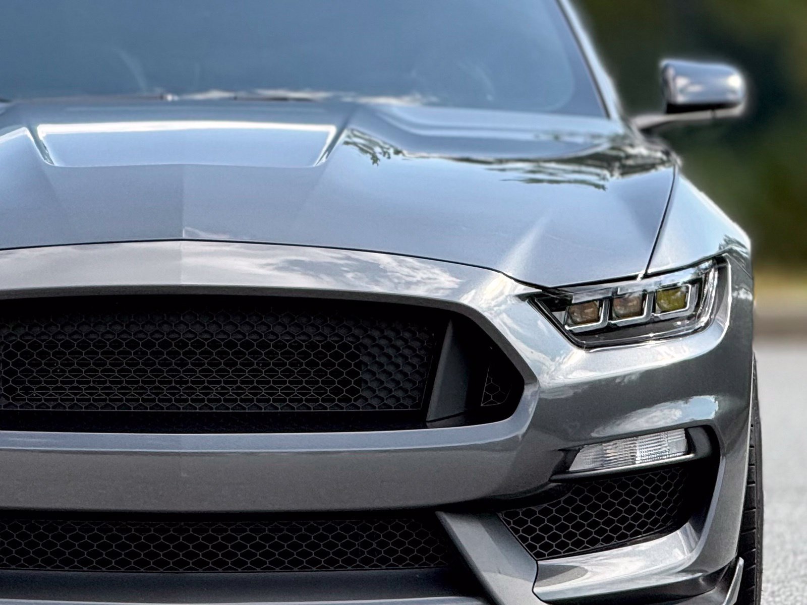 Used 2017 Ford Mustang Shelby GT350 RWD image 15