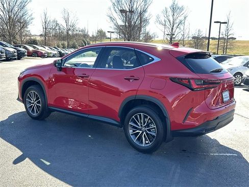Used 2024 Lexus NX 350 AWD w/ Cold Area Package image 6