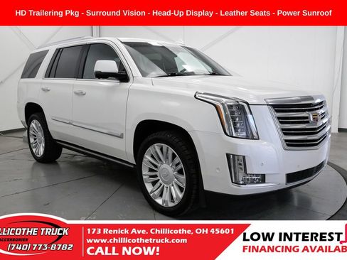 Used 2020 Cadillac Escalade Platinum AWD/4WD image 1