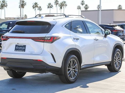 Used 2025 Lexus NX 350h AWD w/ Premium Package image 7
