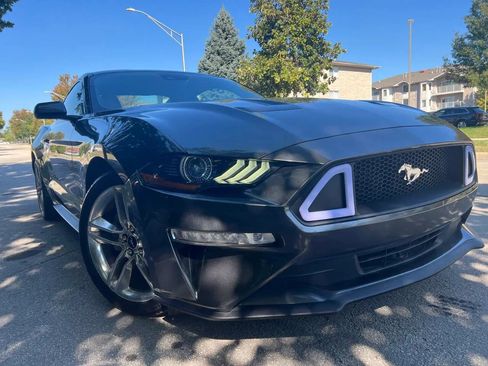 Used 2020 Ford Mustang Premium w/ Equipment Group 201A image 1