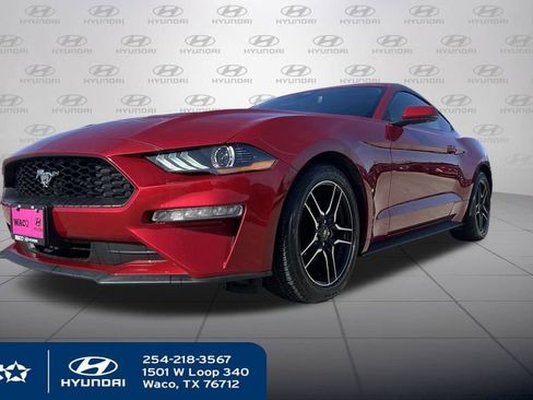 Used 2022 Ford Mustang Premium w/ Equipment Group 201A image 2