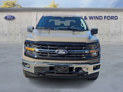 Used 2025 Ford F150 XLT w/ Equipment Group 301A Standard