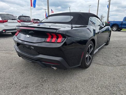 Used 2024 Ford Mustang Premium RWD image 4