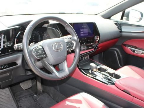 Certified 2025 Lexus NX 350h AWD w/ Cold Area Package image 12