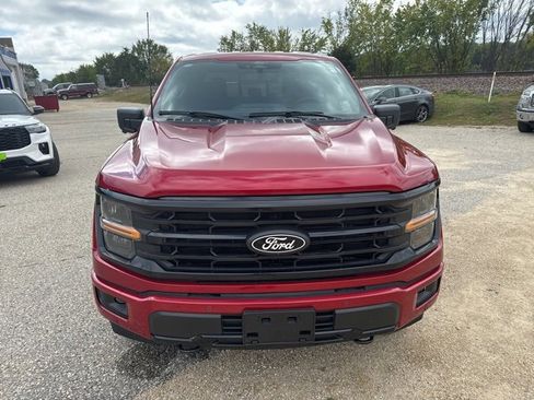 New 2025 Ford F150 XLT w/ Equipment Group 302A MID image 9