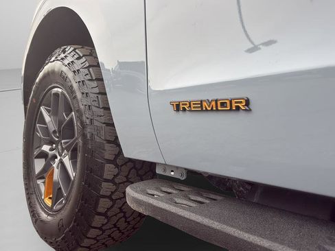 Certified 2025 Ford Expedition Tremor image 36