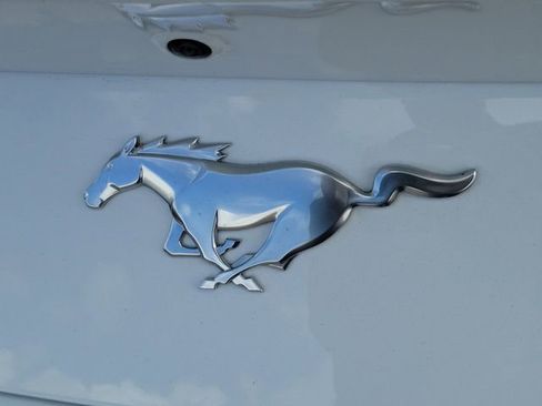 Used 2025 Ford Mustang Coupe image 6