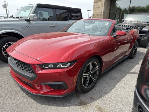 Used 2024 Ford Mustang Convertible RWD image 4