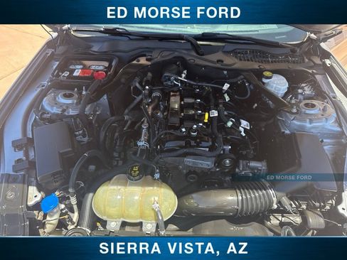 Used 2022 Ford Mustang Premium RWD image 39