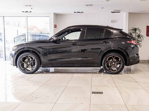 New 2025 Alfa Romeo Stelvio Sprint image 6