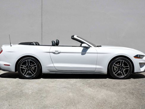 Used 2020 Ford Mustang Premium RWD image 14