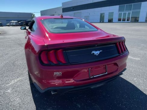 Used 2021 Ford Mustang Coupe w/ Equipment Group 101A image 8