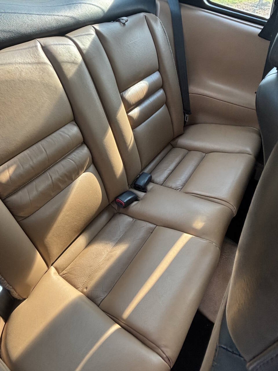 Used 1998 Ford Mustang GT RWD image 15