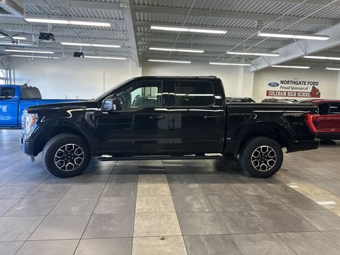 Used 2023 Ford F150 XLT w/ Equipment Group 302A High image 16