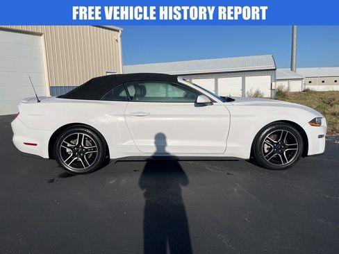 Used 2021 Ford Mustang Premium image 3