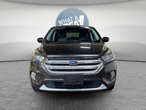 Used 2019 Ford Escape SE AWD/4WD image 9